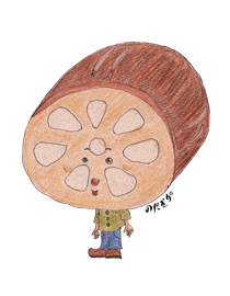 れんこん